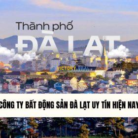 Cong-ty-bat-dong-san-da-lat-uy-tin-hien-nay